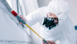 Best Pest Exclusion Services  in Hinsdale, IL